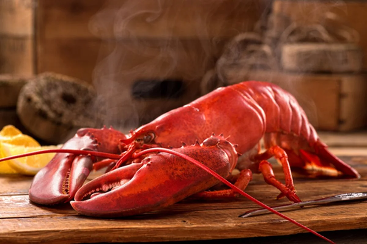 Udang Selingkuh